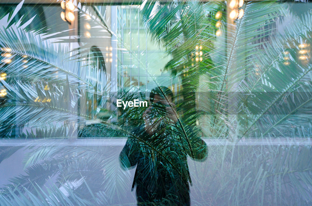 Multiple exposure of man photographing amidst palm trees