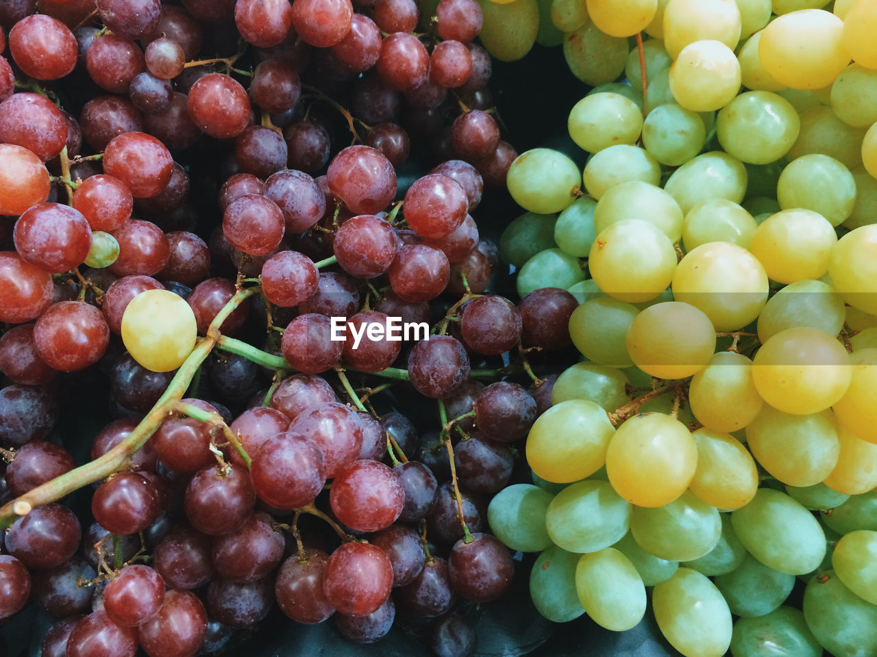 Close-up of grapes