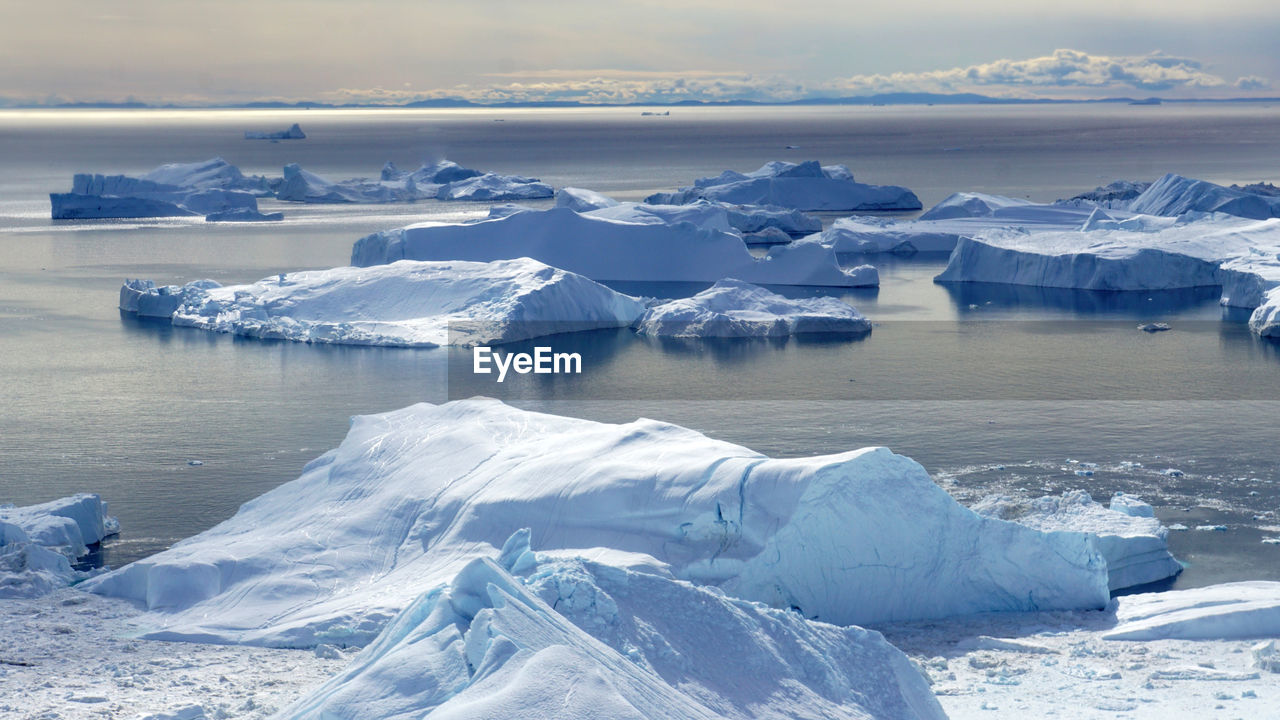 Icebergs off greenland