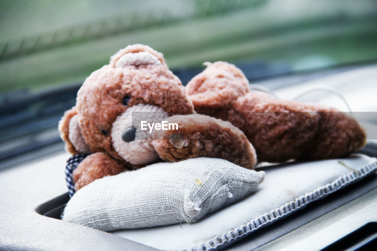 Close-up of teddy bear in car