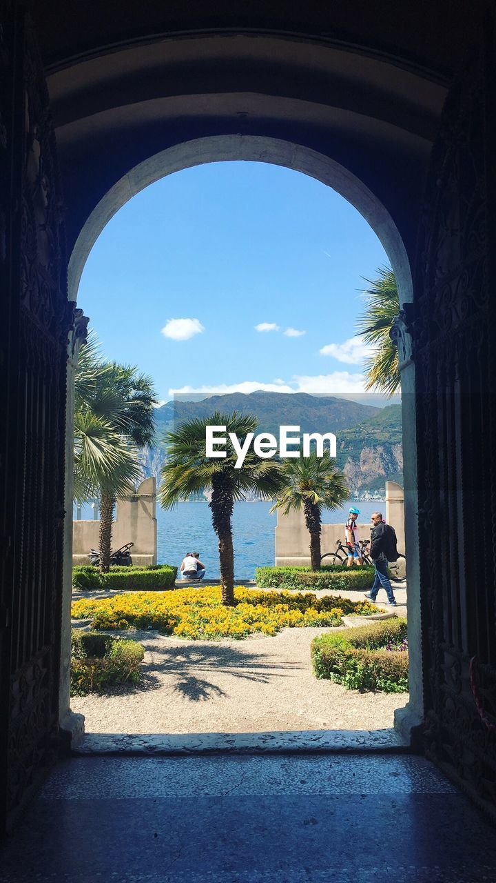 WOMAN LOOKING THROUGH TREES