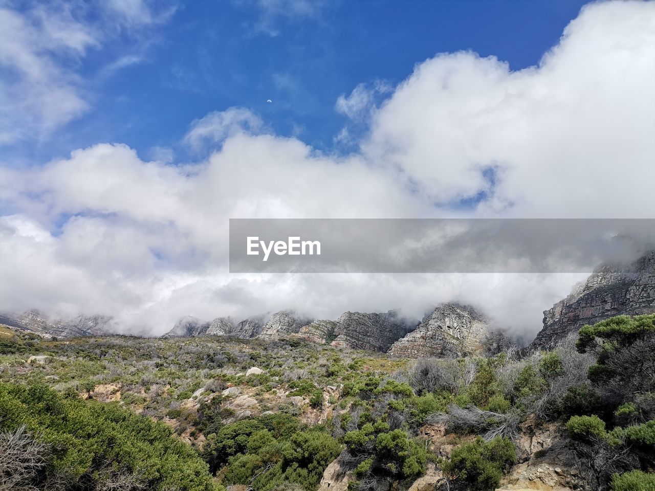 cloud, sky, environment, landscape, mountain, nature, scenics - nature, beauty in nature, plant, travel, land, mountain range, travel destinations, tree, wilderness, tourism, no people, plateau, fog, rock, outdoors, ridge, non-urban scene, blue, forest, cloudscape, day, tranquility, pinaceae, valley, pine tree, tranquil scene, coniferous tree, trip, social issues, vacation, adventure