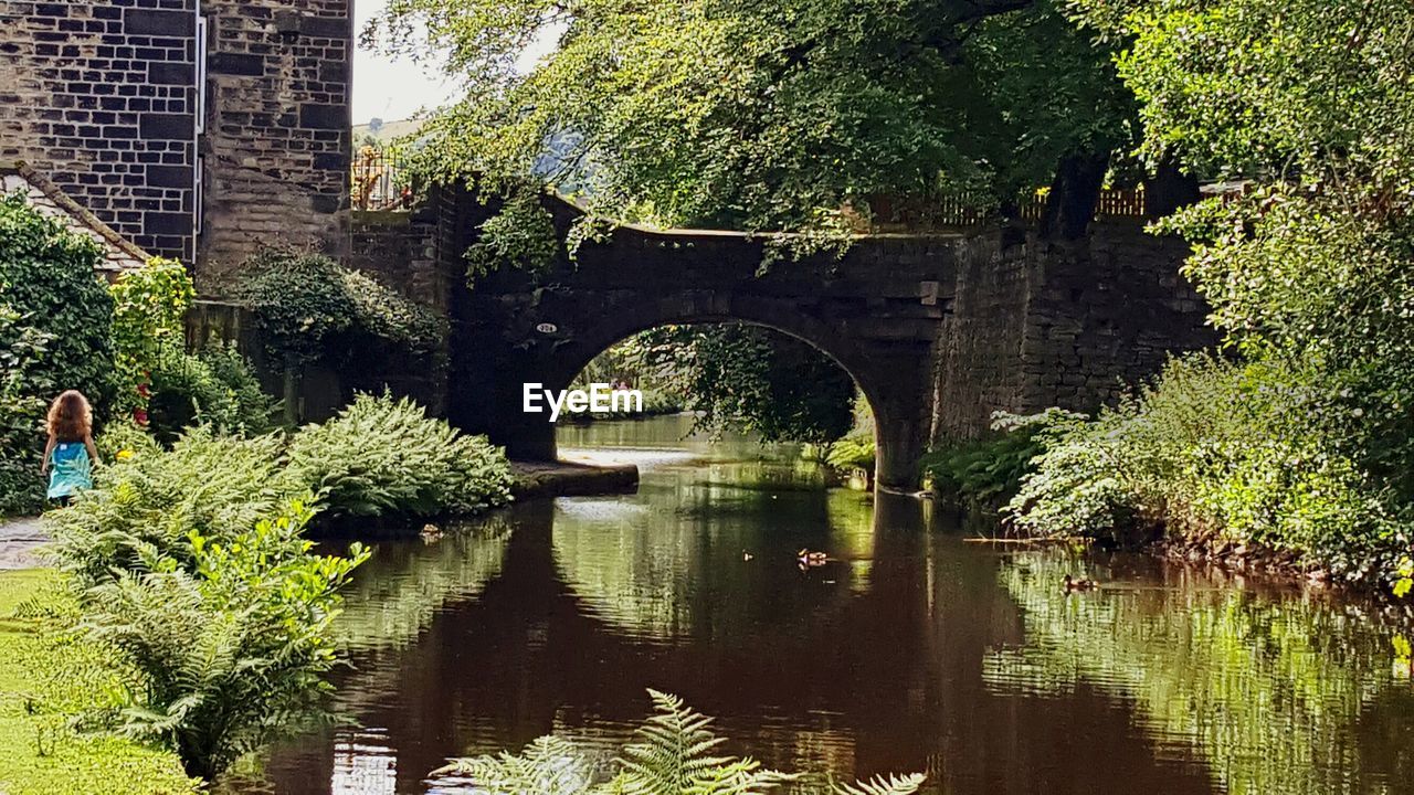 PLANTS AND TREES BY WATER