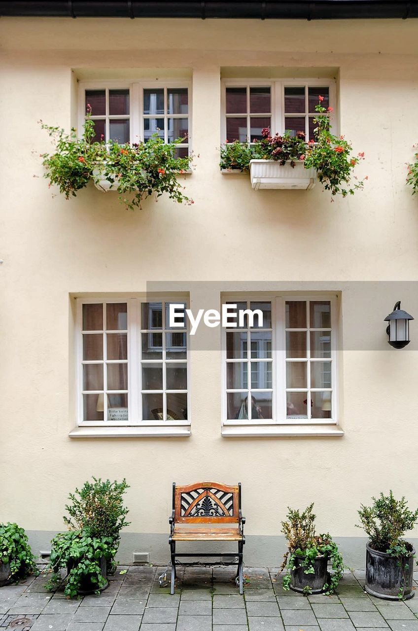 Potted plants outside building