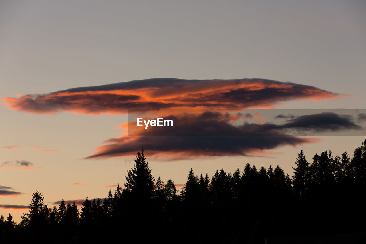 Silhouette trees against sky during sunset