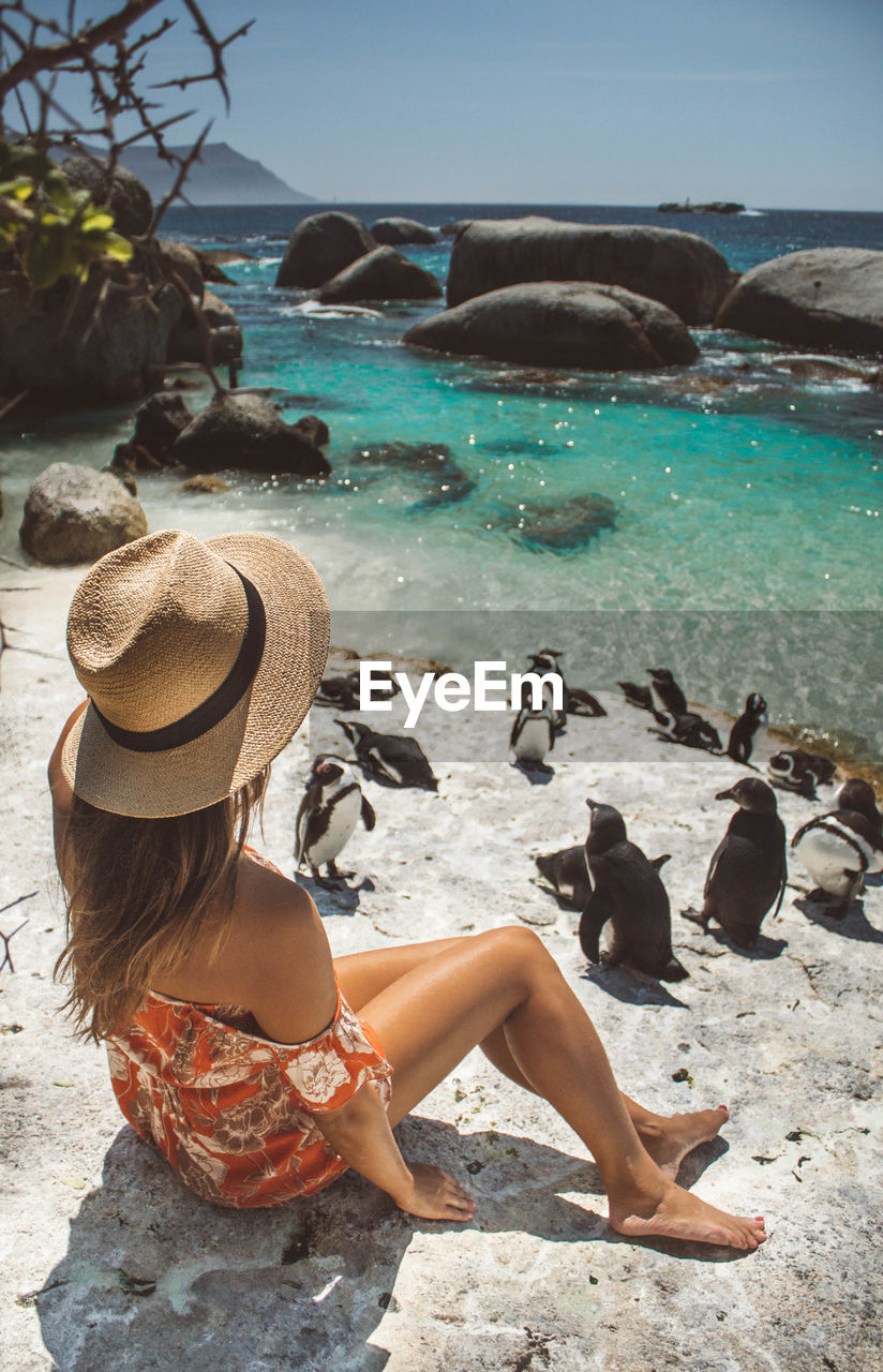 Woman in hat sitting by penguins at beach