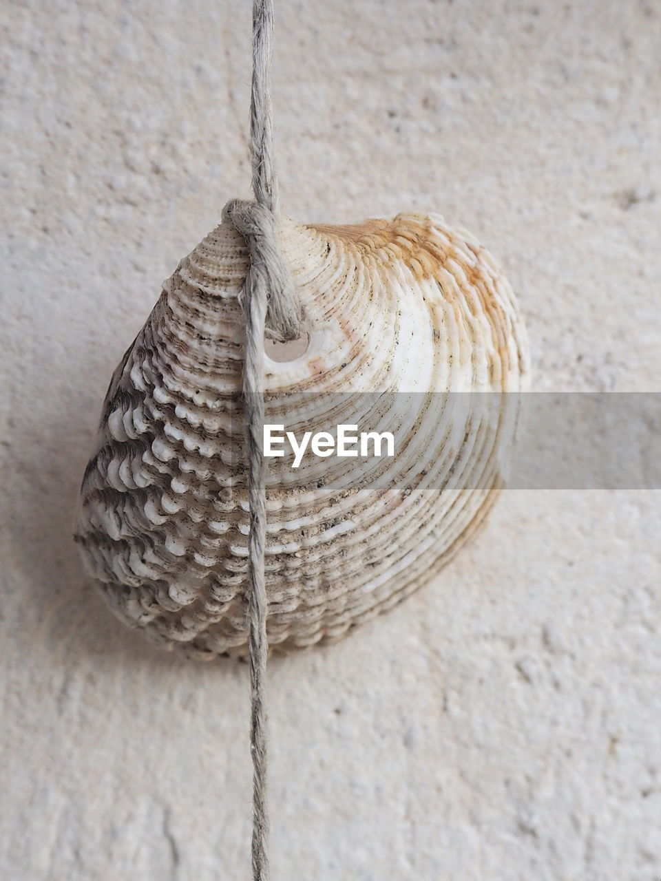 HIGH ANGLE VIEW OF LEAF HANGING ON STONE