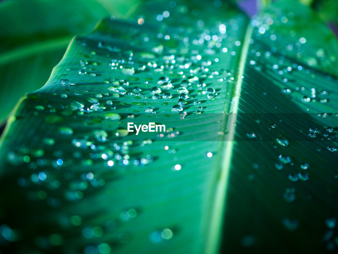 CLOSE-UP OF WATER DROPS ON GLASS
