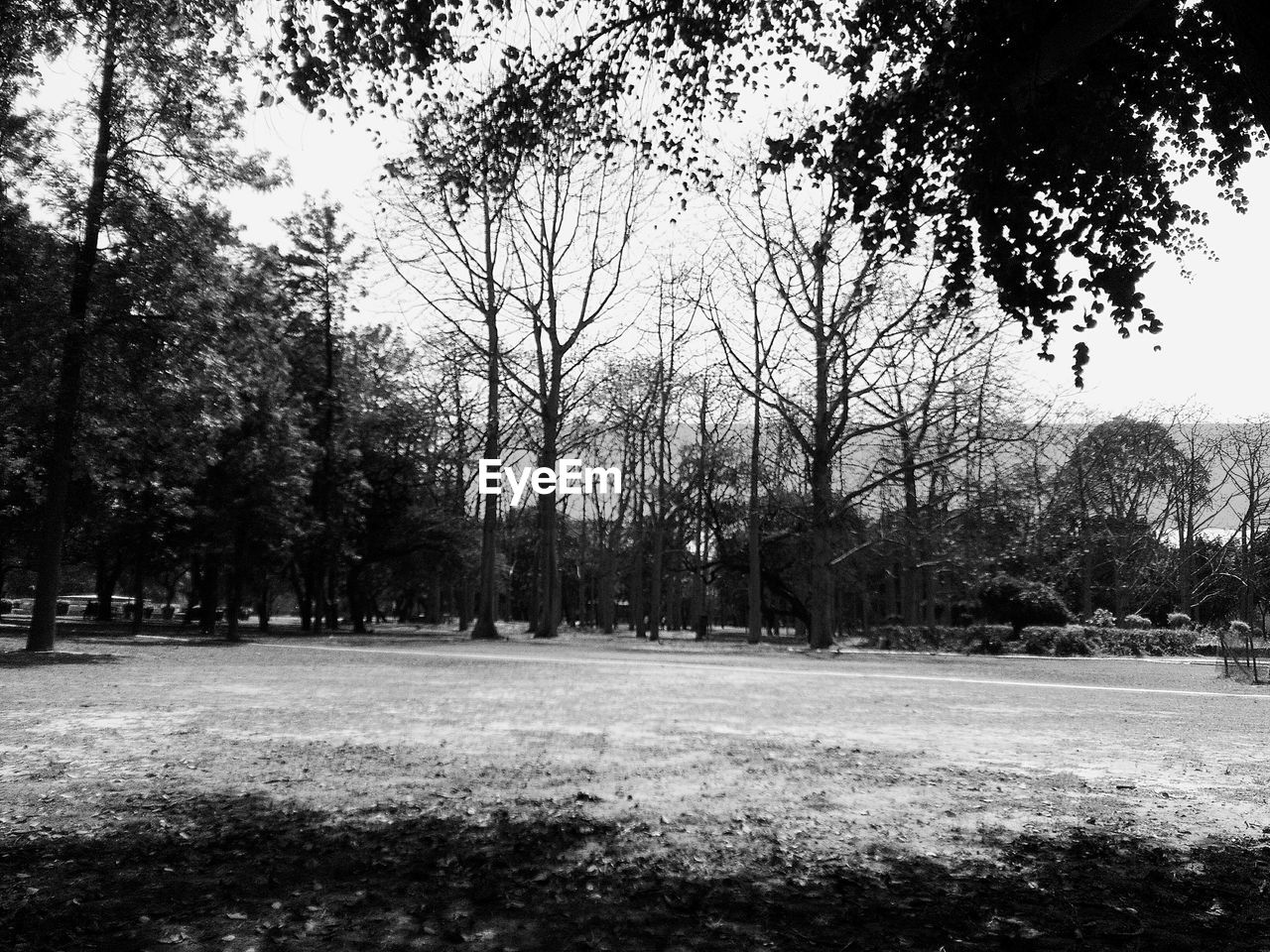 Scenic view of grassy field against sky