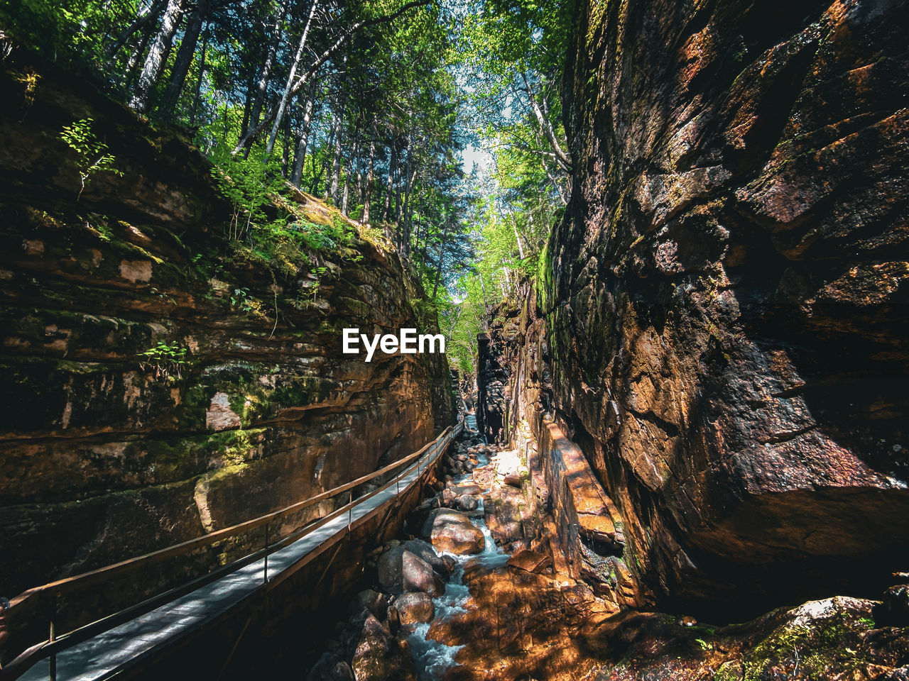 Walkway at flume gorge, new hampshire 