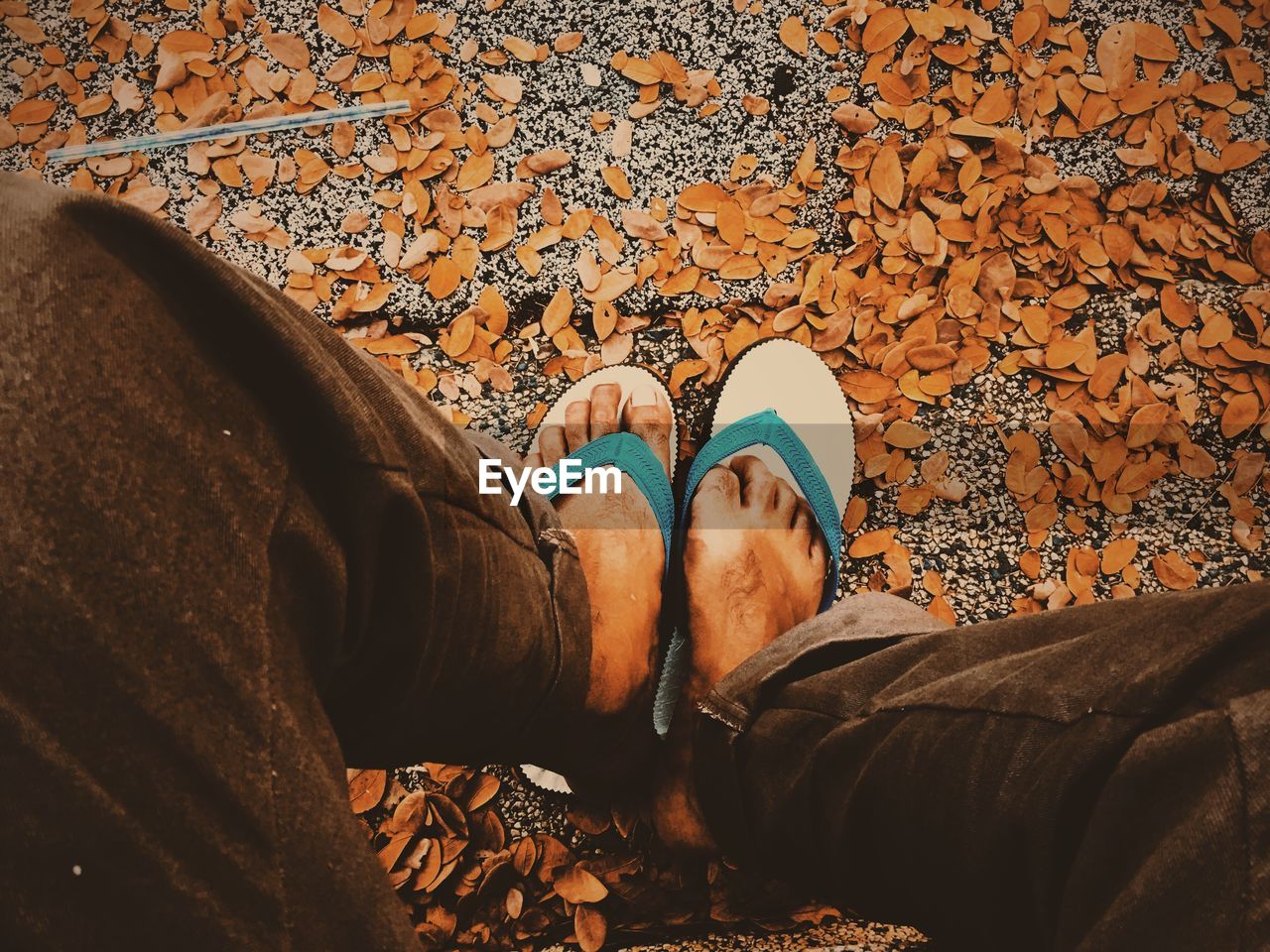 Low section of man sitting on leaves covered footpath