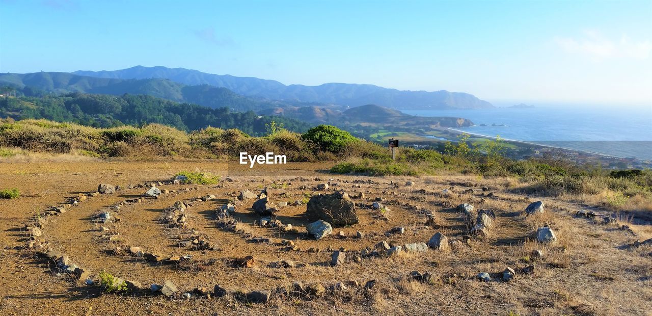 VIEW OF SHEEP ON LAND