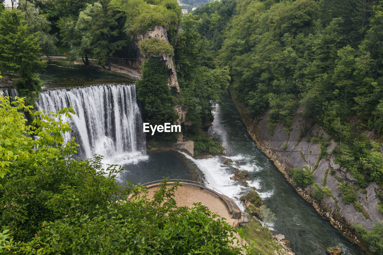 Scenic view of waterfall in forest