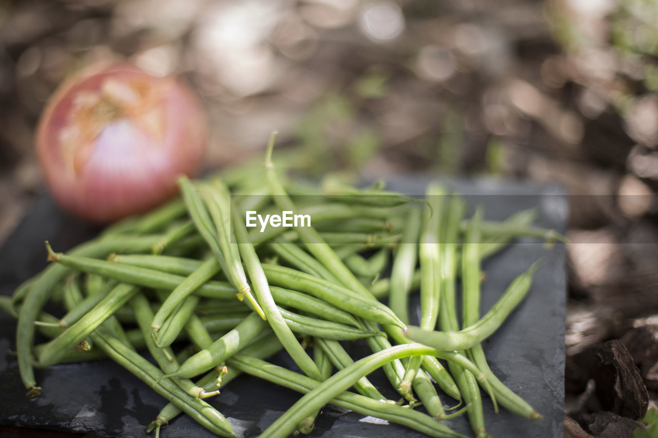 High angle view of vegetables on table