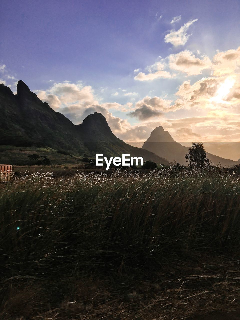 Scenic view of field against sky during sunset