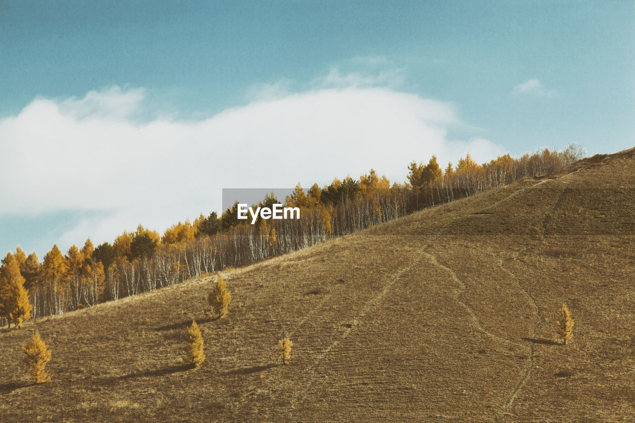 Panoramic view of agricultural field against sky