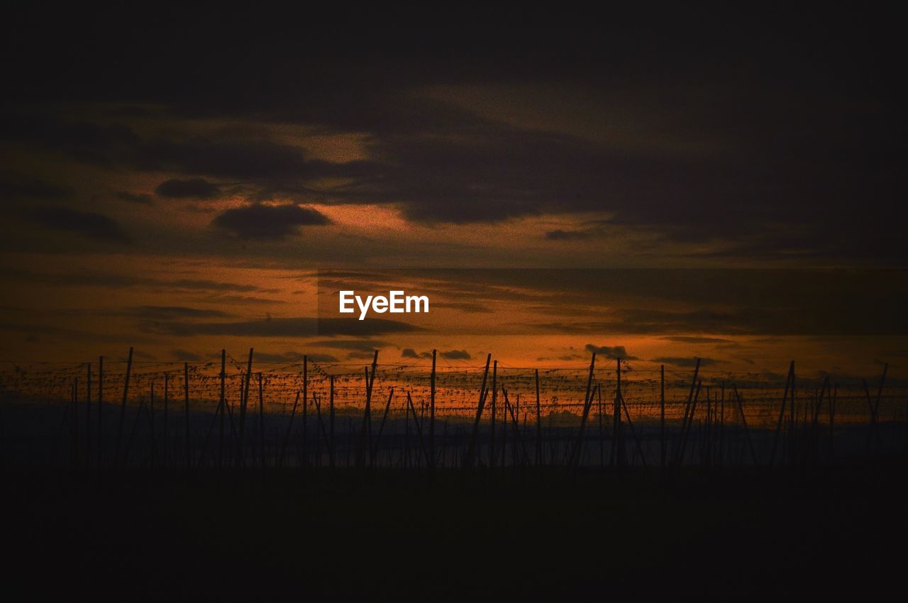 VIEW OF LANDSCAPE AT SUNSET