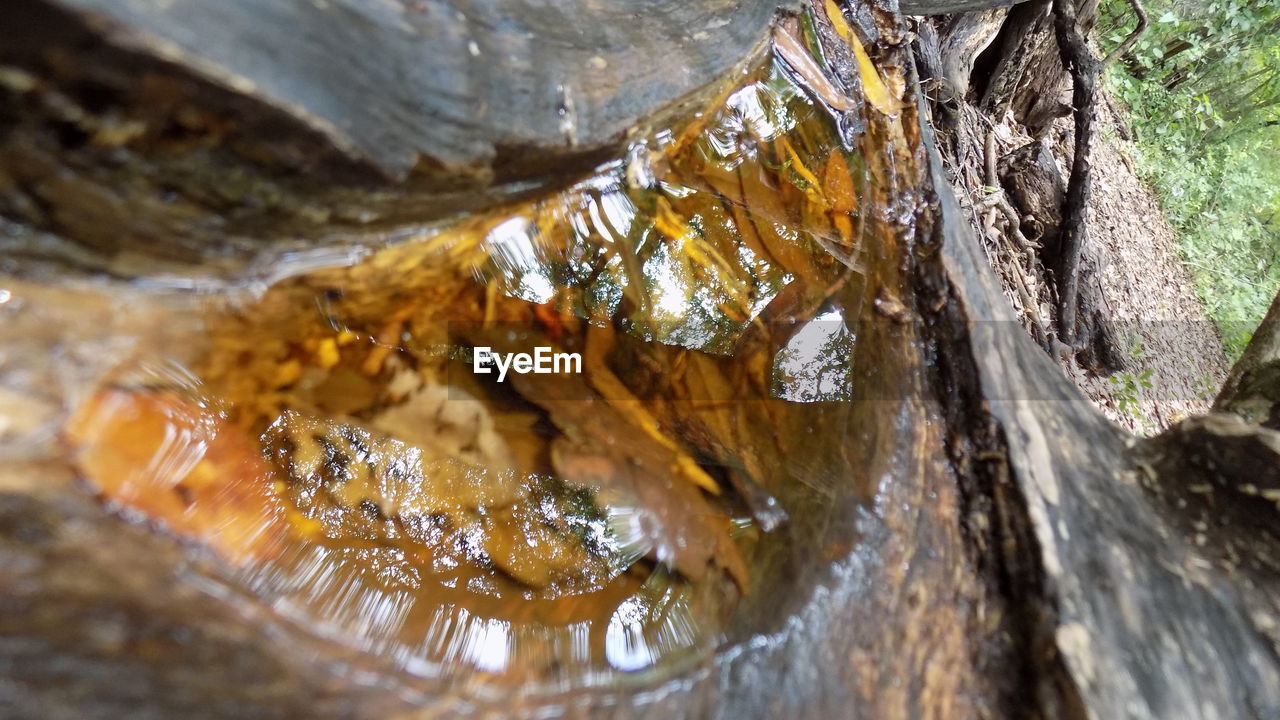 CLOSE-UP OF ROCKS IN WATER