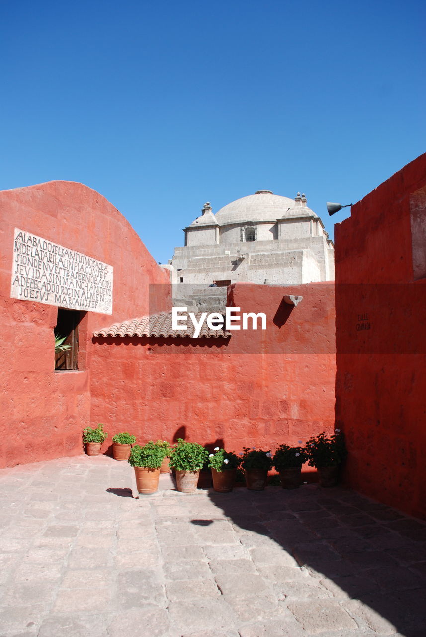 Potted plants against red wall at santa catalina monastery