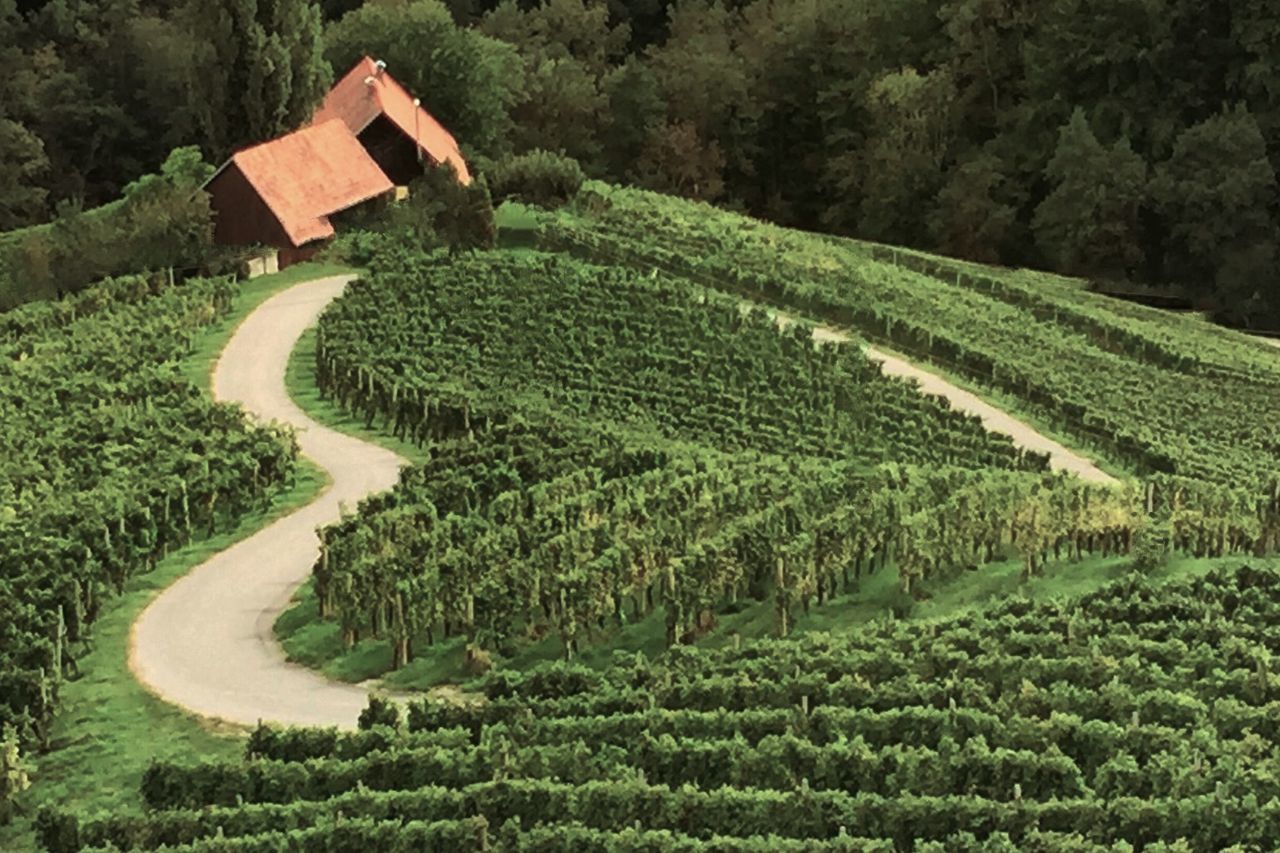 SCENIC VIEW OF FARM