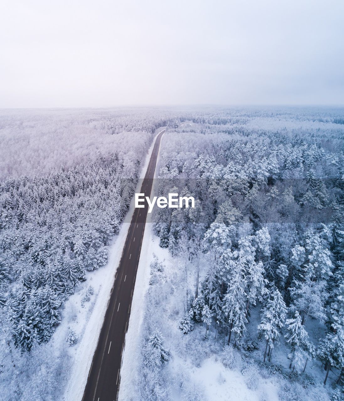 Aerial view of road amidst trees in forest against sky during winter