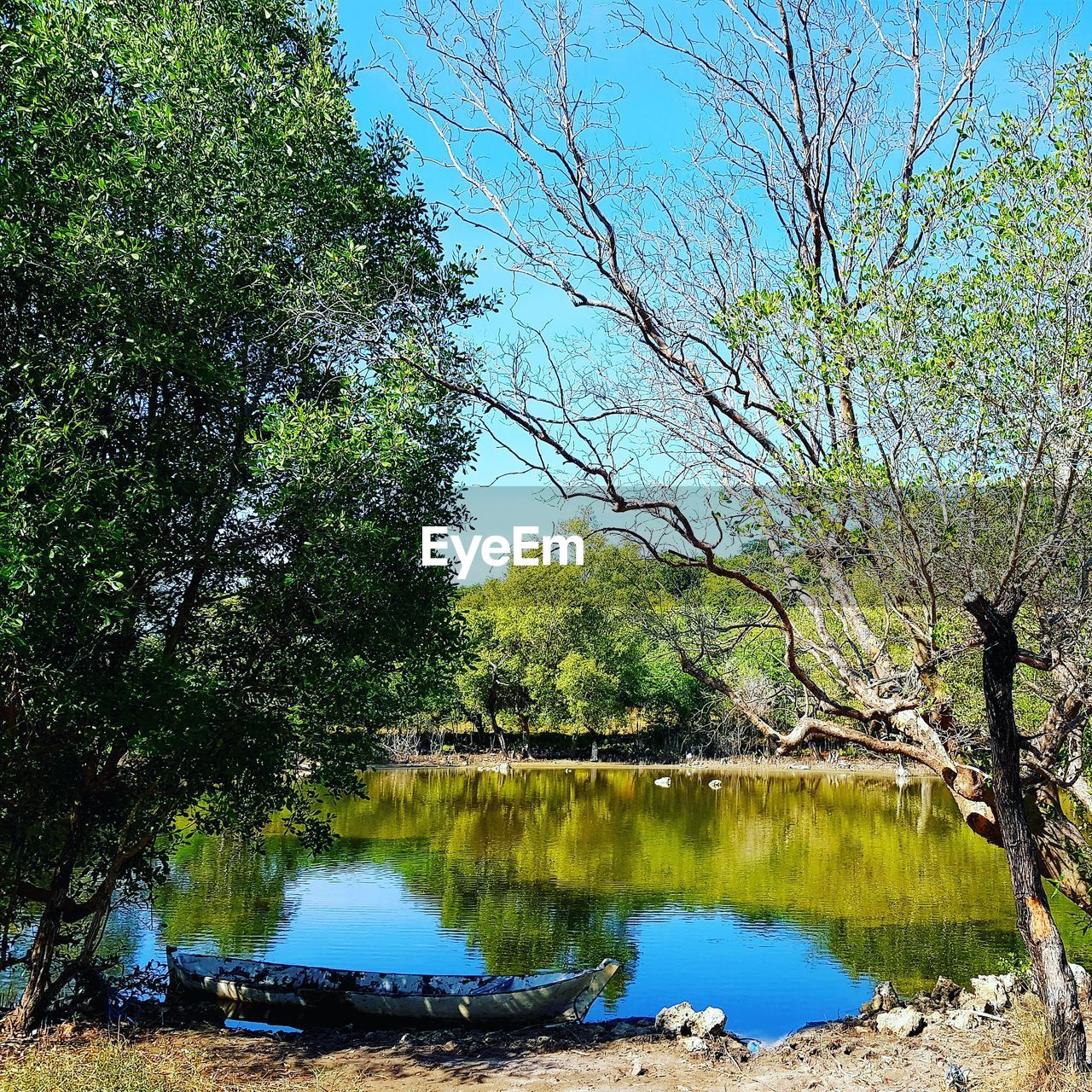 SCENIC VIEW OF LAKE BY TREES AGAINST SKY