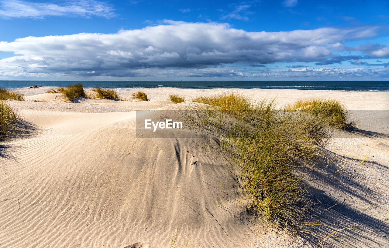 Scenic view of beach against sky