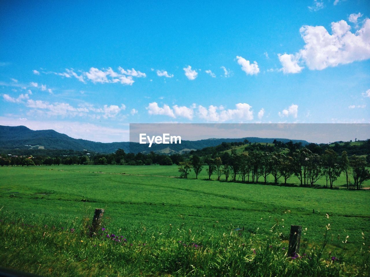 View of landscape with trees and hills