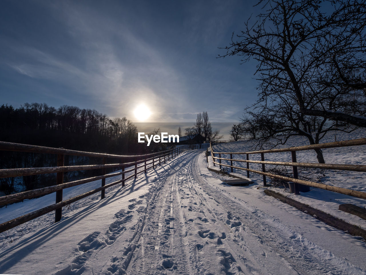 SNOW COVERED ROAD BY TREES AGAINST SKY