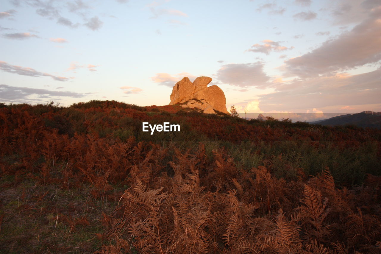 VIEW OF LANDSCAPE AGAINST SKY