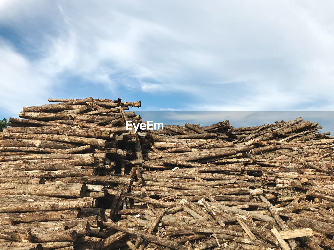 Piles of wood to be made of plywood with very good quality and sent to various countries 