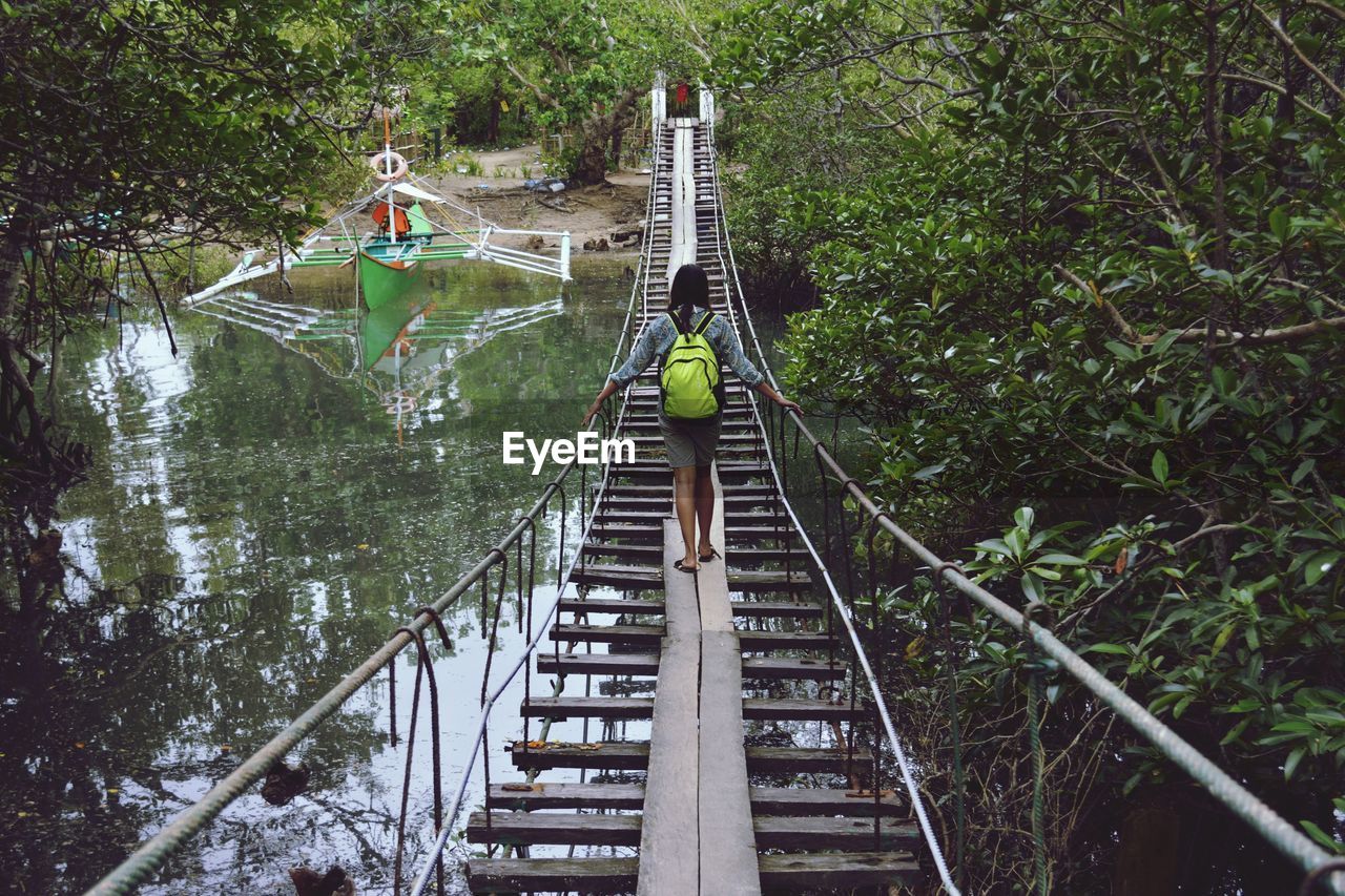 HIGH ANGLE VIEW OF FOOTBRIDGE OVER FOREST