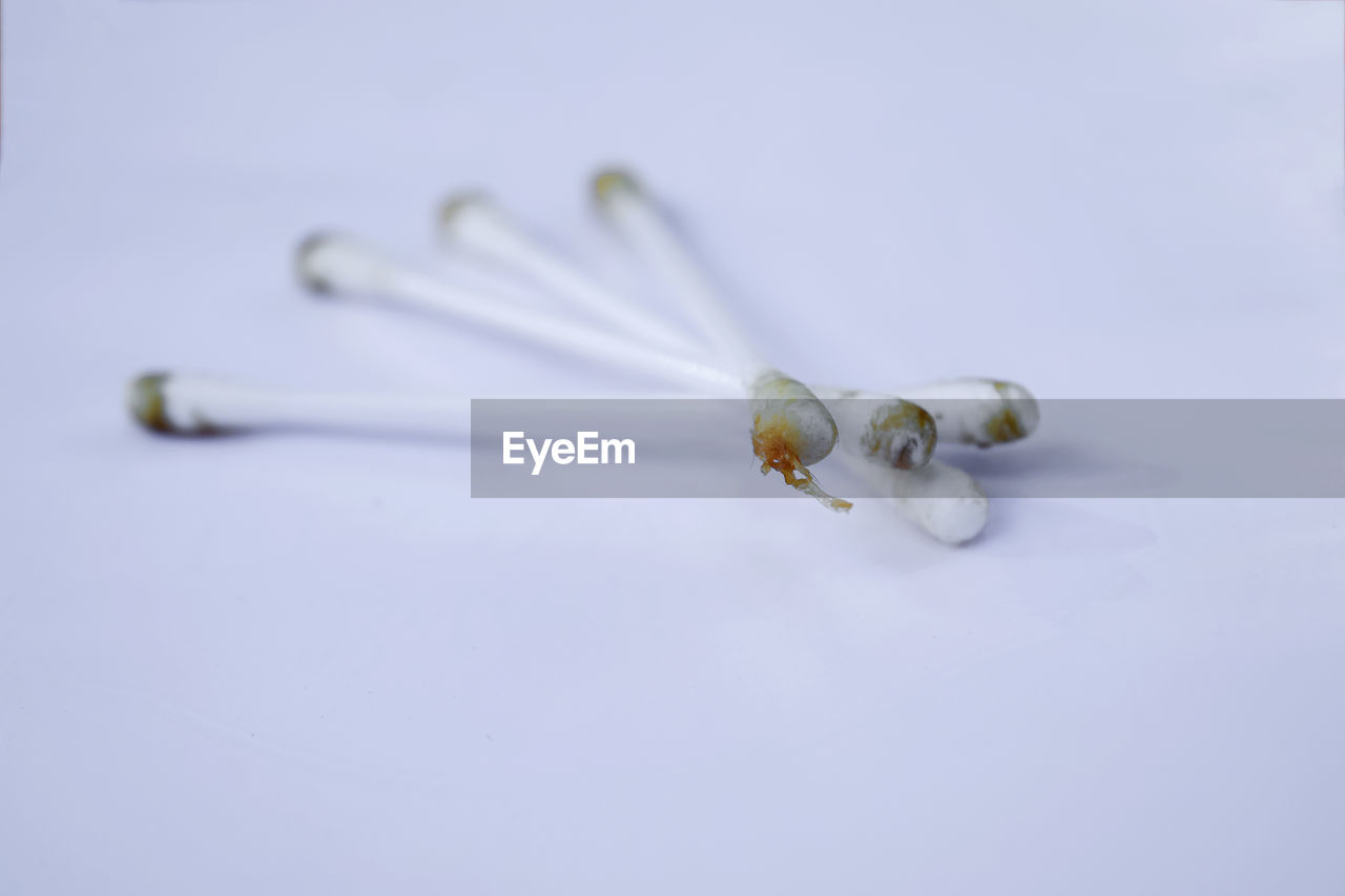 CLOSE-UP OF HOUSEFLY ON WHITE TABLE