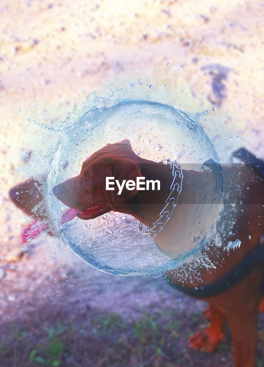 CLOSE-UP OF MAN IN WATER DROPLETS