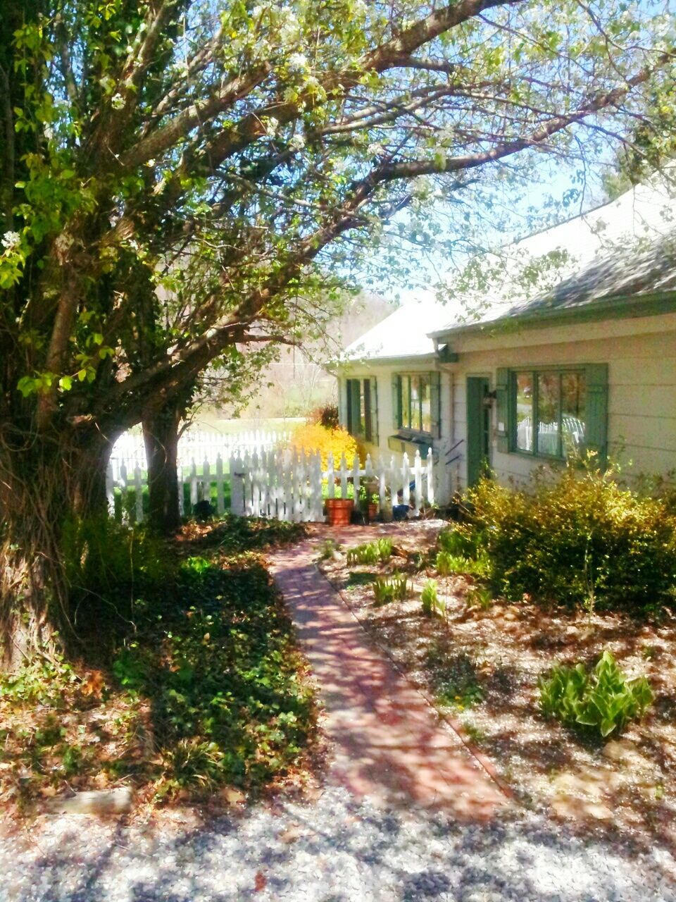 Facade of house