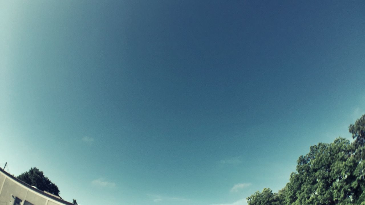 Low angle view of trees against sky