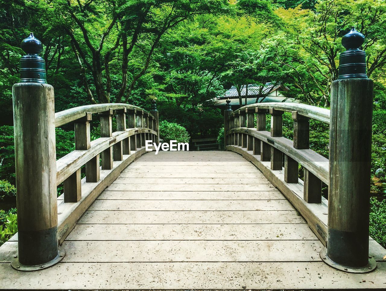 Low angle view of footbridge in park