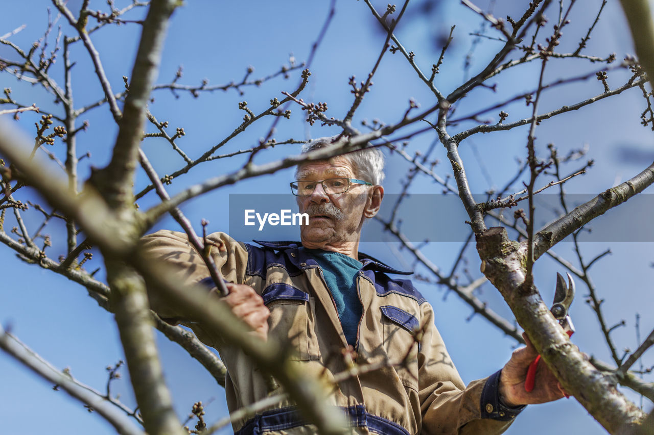 Man on tree