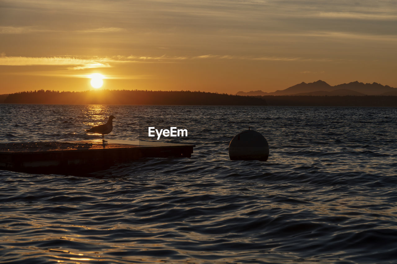 SCENIC VIEW OF SEA DURING SUNSET