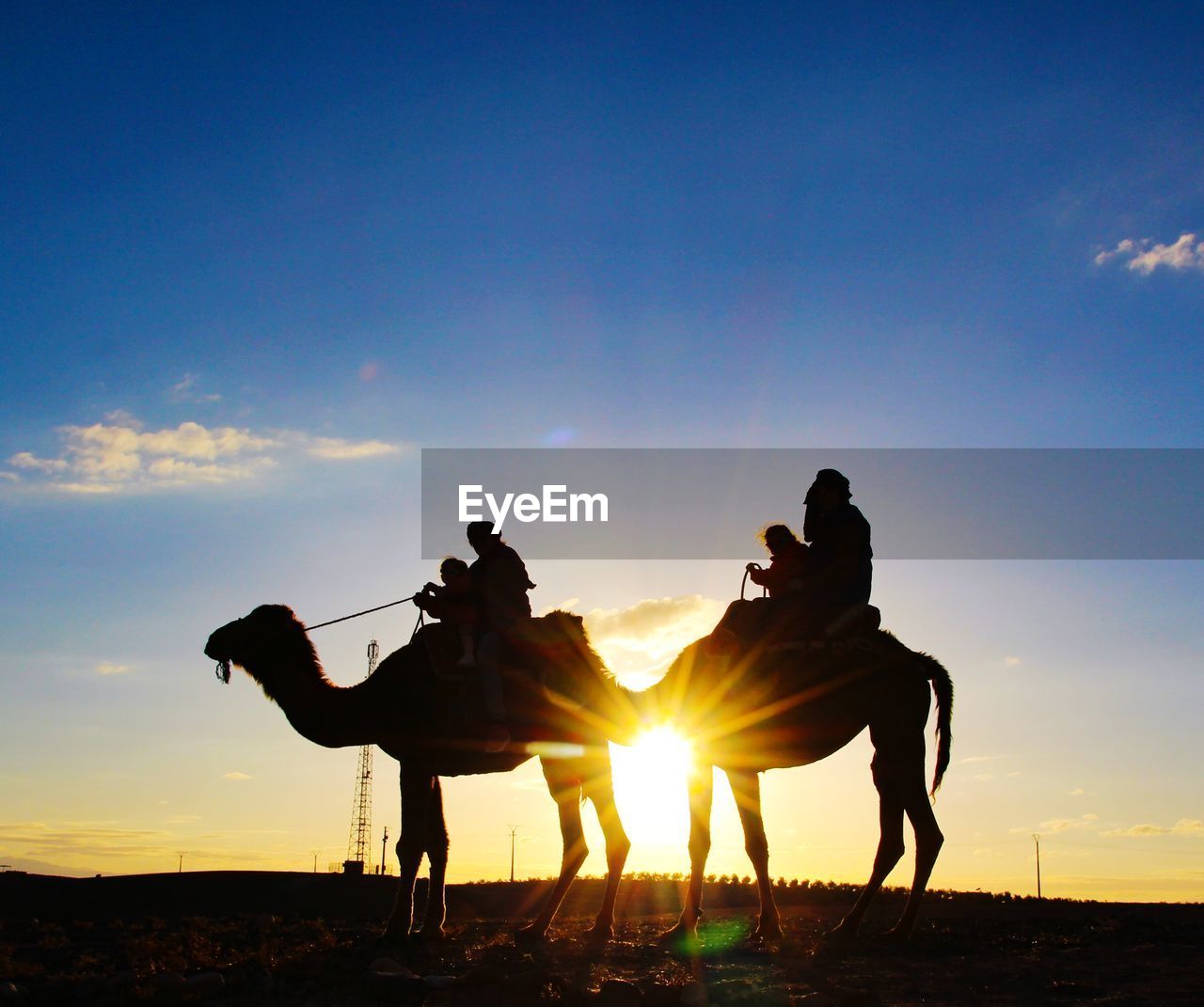camel, sky, sunset, natural environment, mammal, silhouette, nature, landscape, animal, domestic animals, land, animal themes, desert, adult, sunlight, sun, riding, activity, travel, men, sand, arabian camel, togetherness, back lit, two people, motion, outdoors, leisure activity, beauty in nature, travel destinations, scenics - nature, pet, side view, working animal, cloud, dusk, lifestyles, copy space, animal wildlife, full length, lens flare, blue, environment, sand dune