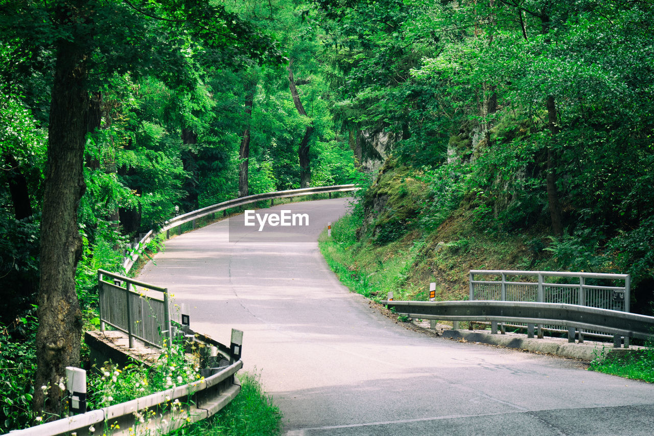 EMPTY ROAD LEADING TOWARDS FOREST