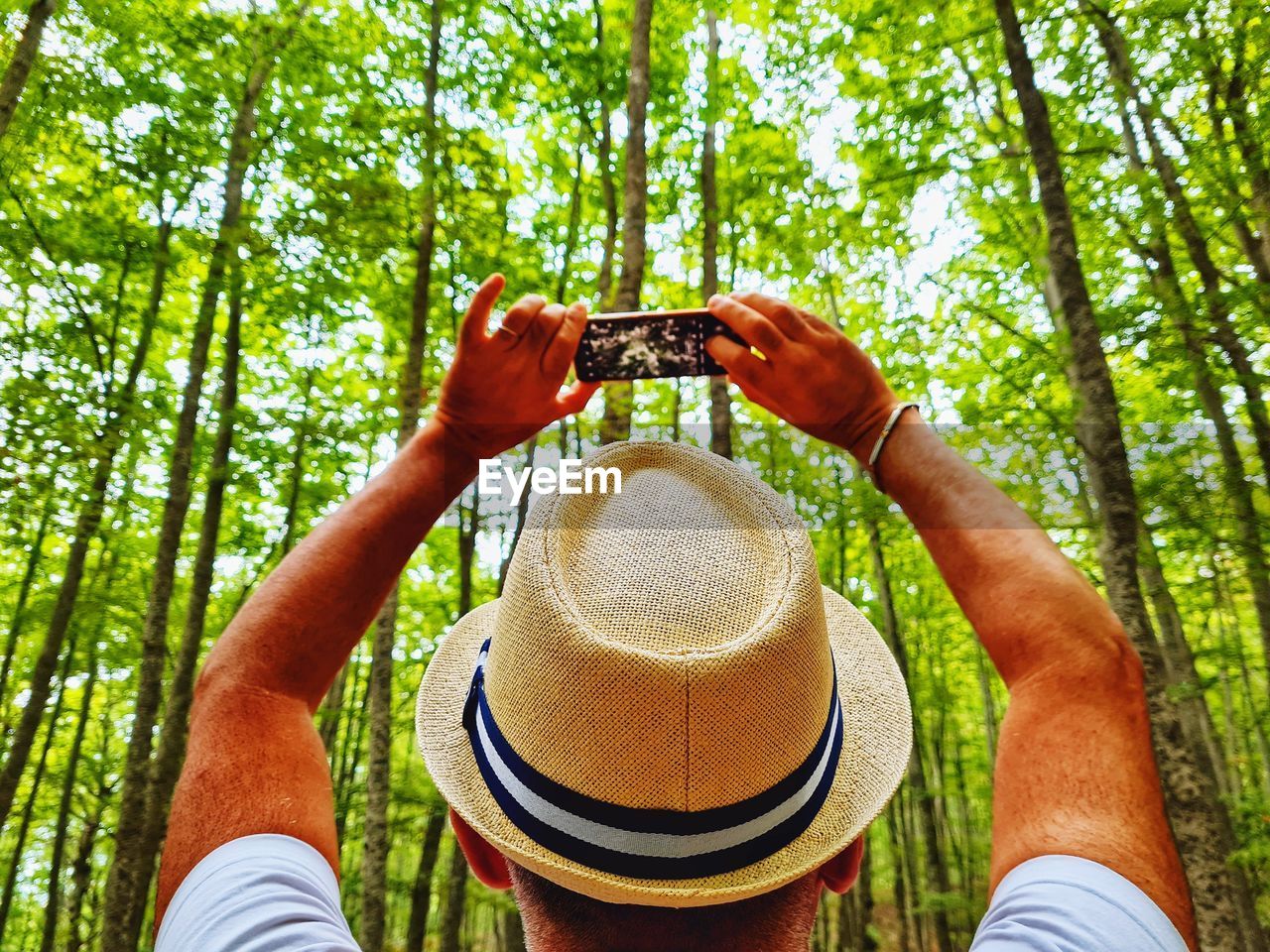 Man from behind with hat photographs the forest with his smartphone