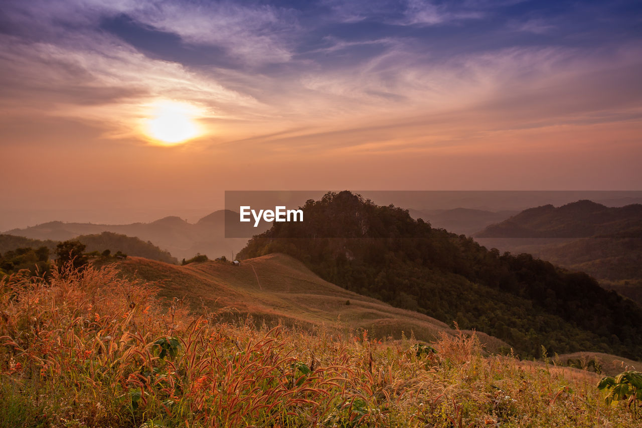 Scenic view of field against sky during sunset