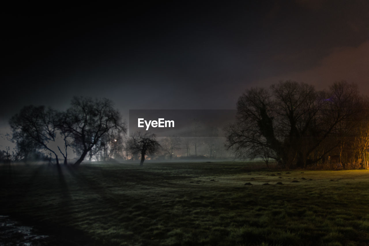 TREES ON FIELD
