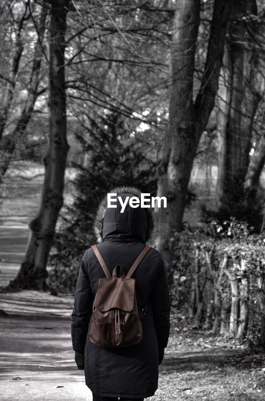 Rear view of person in hooded shirt walking against bare trees