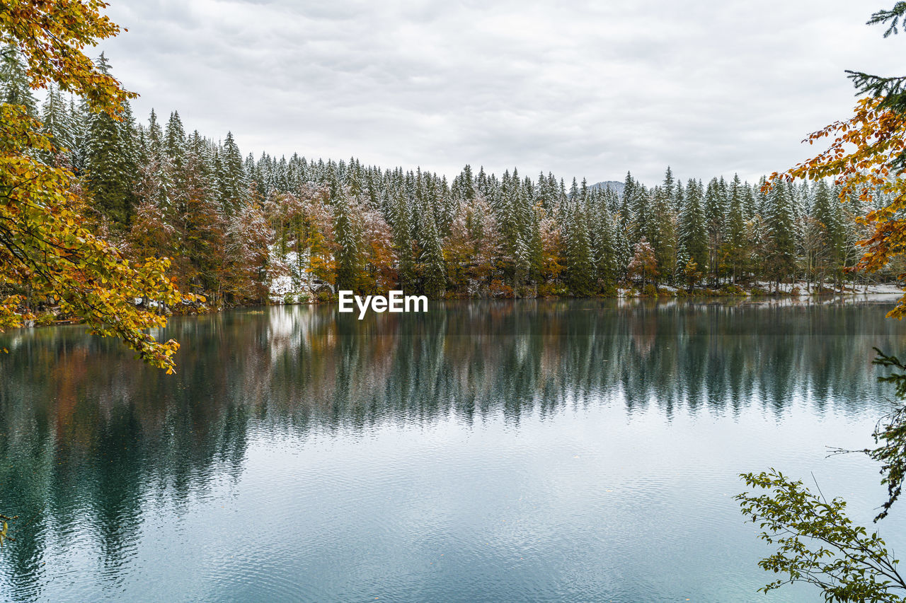 SCENIC VIEW OF LAKE BY TREES AGAINST SKY