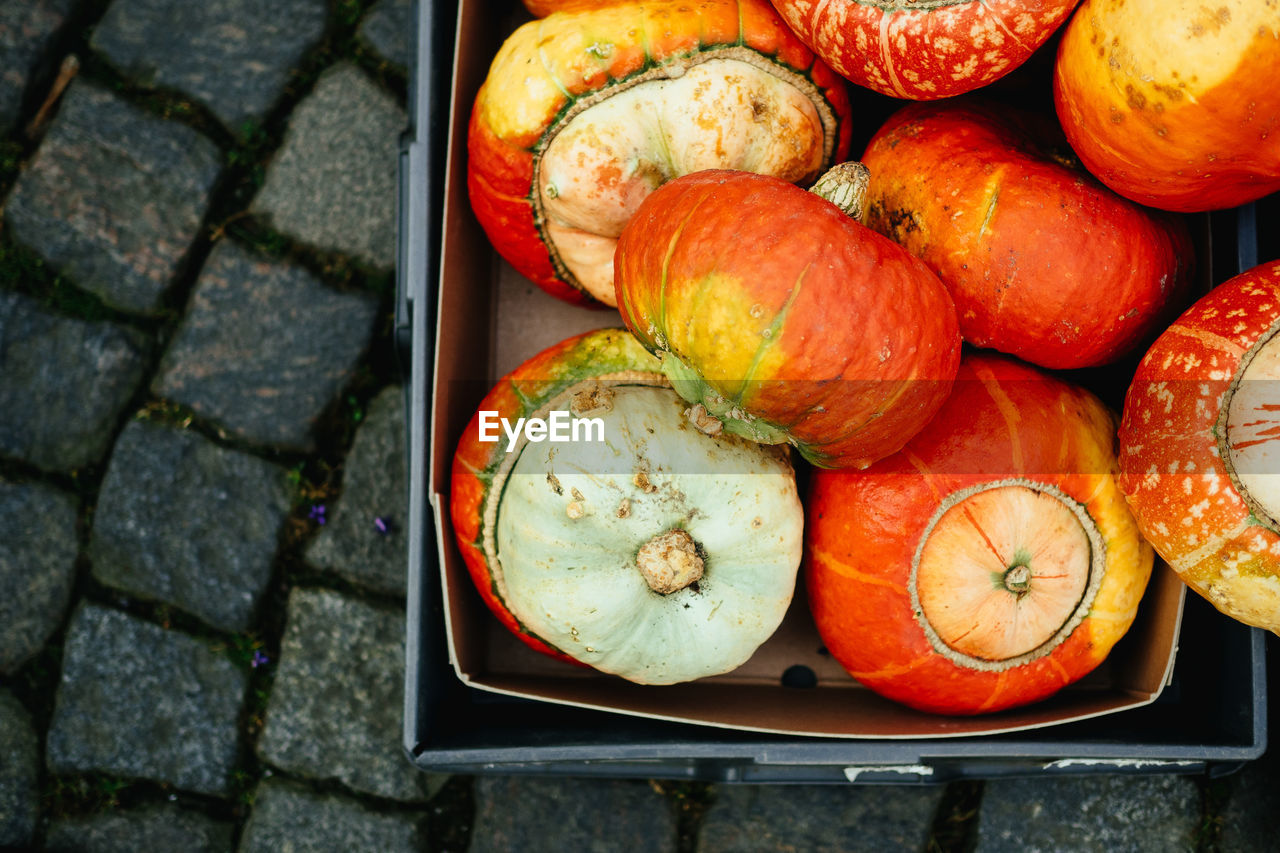 High angle view of pumpkins in a box on cobblestone street