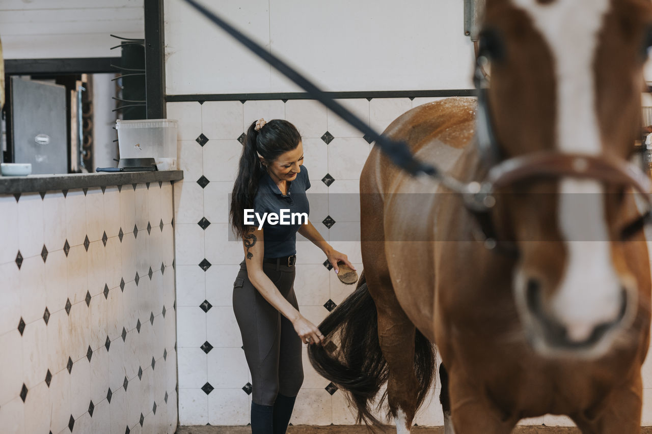 Smiling woman in stables grooming horse