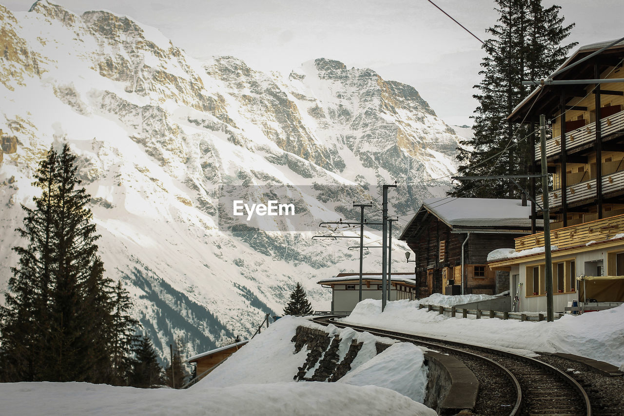 SNOW COVERED HOUSES AND TREES BY MOUNTAIN IN CITY