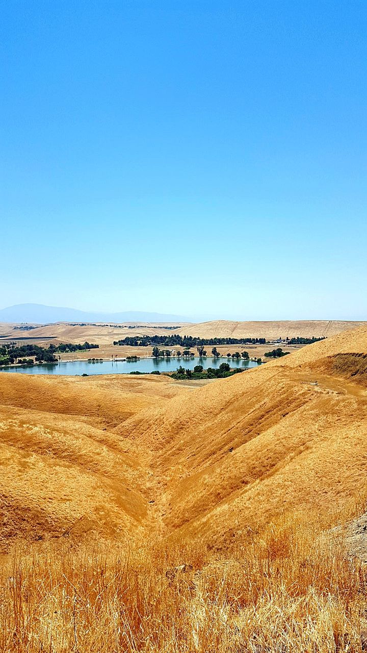 Scenic view of agricultural field against clear blue sky